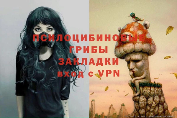 дурь Белокуриха